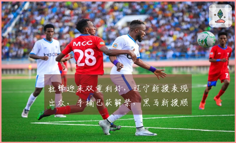 杜锋迎来双重利好，辽宁新援表现出众，李楠已获解禁，黑马新援顺利到岗