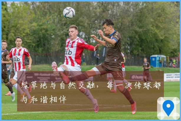 绿草地与自然交融，每一次传球都与和谐相伴