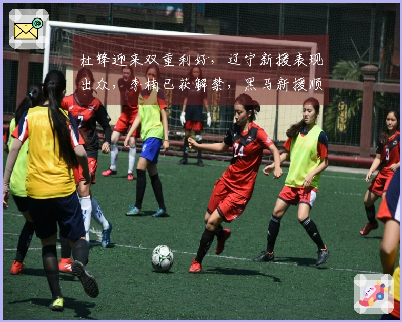 杜锋迎来双重利好，辽宁新援表现出众，李楠已获解禁，黑马新援顺利到岗